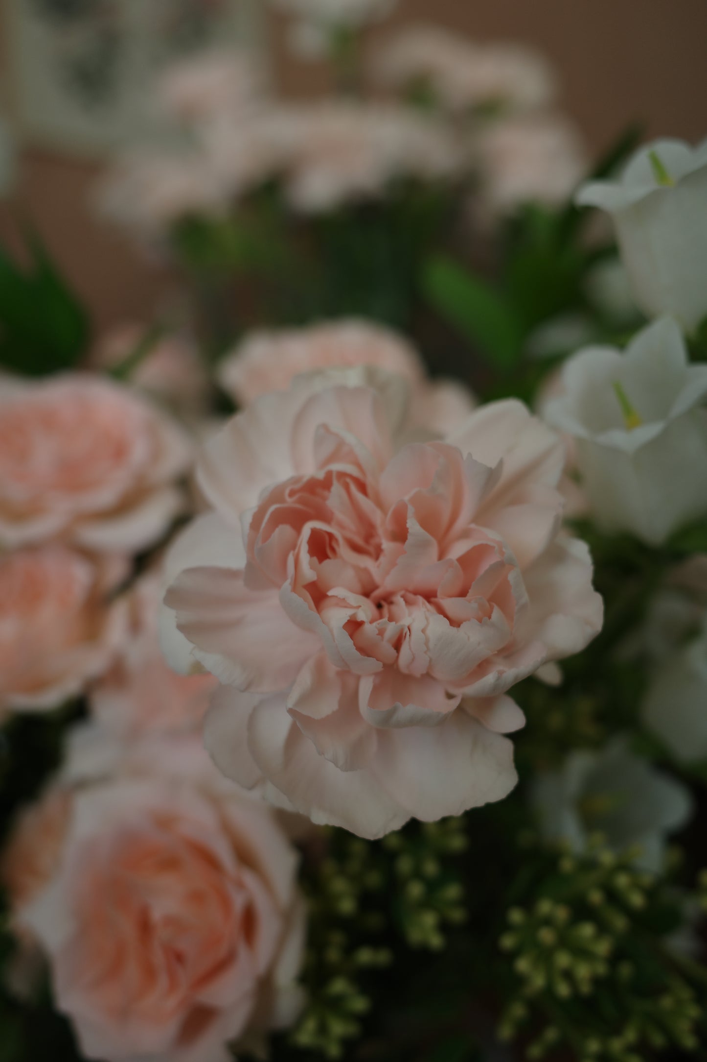 Carnation Basket (Mother's Day 2024)